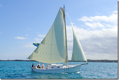 P1312814