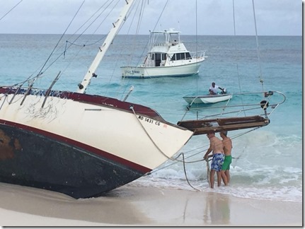 6a00d8341cfbd053ef01b7c948da95970b-800wi (1)