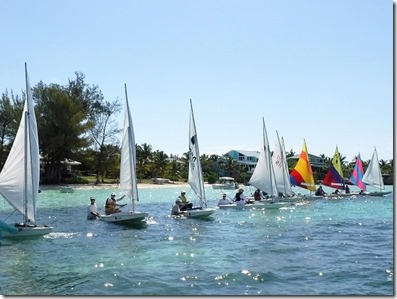 cache_4227789424 (1)